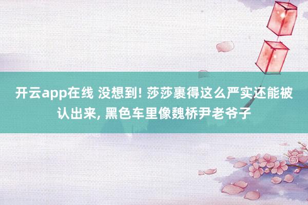 开云app在线 没想到! 莎莎裹得这么严实还能被认出来， 黑色车里像魏桥尹老爷子