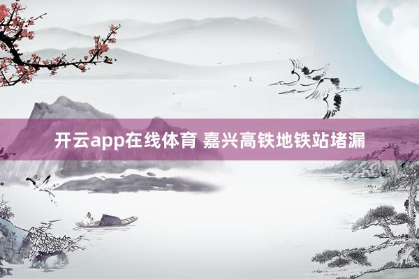 开云app在线体育 嘉兴高铁地铁站堵漏