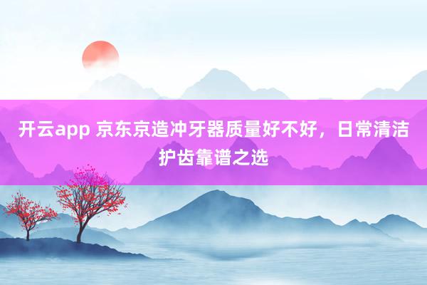 开云app 京东京造冲牙器质量好不好，日常清洁护齿靠谱之选