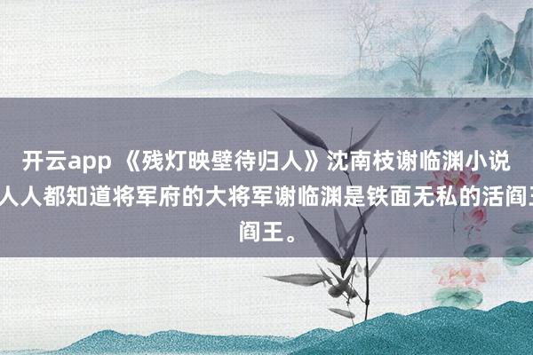 开云app 《残灯映壁待归人》沈南枝谢临渊小说：人人都知道将军府的大将军谢临渊是铁面无私的活阎王。